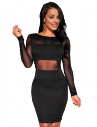 Black Mesh Inserts Long Sleeves Dress